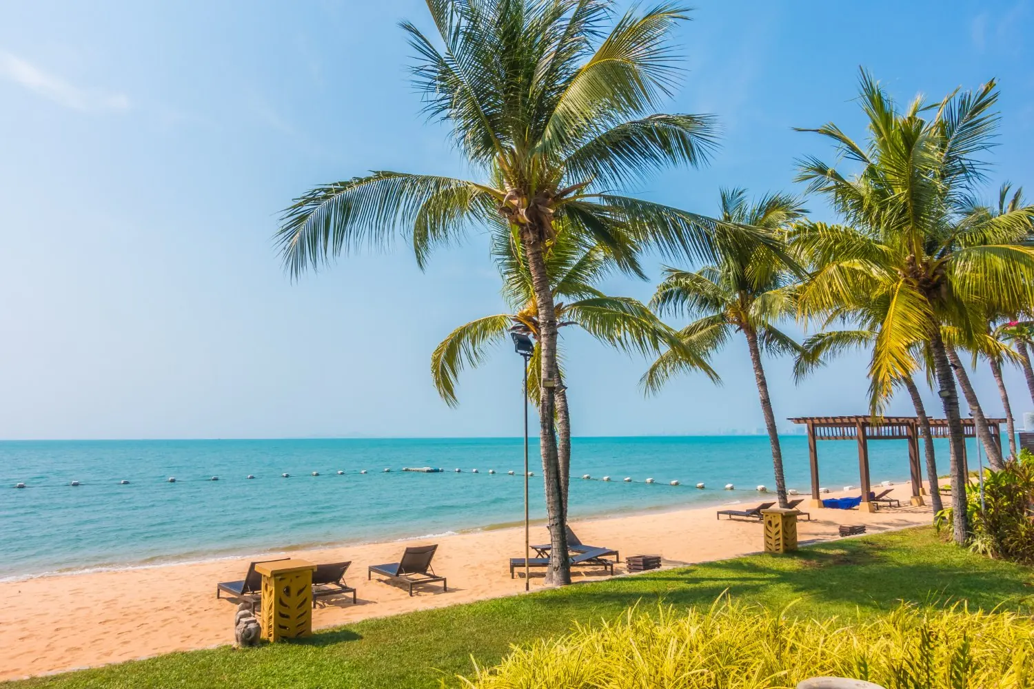 Goa — Nothing on the clock.