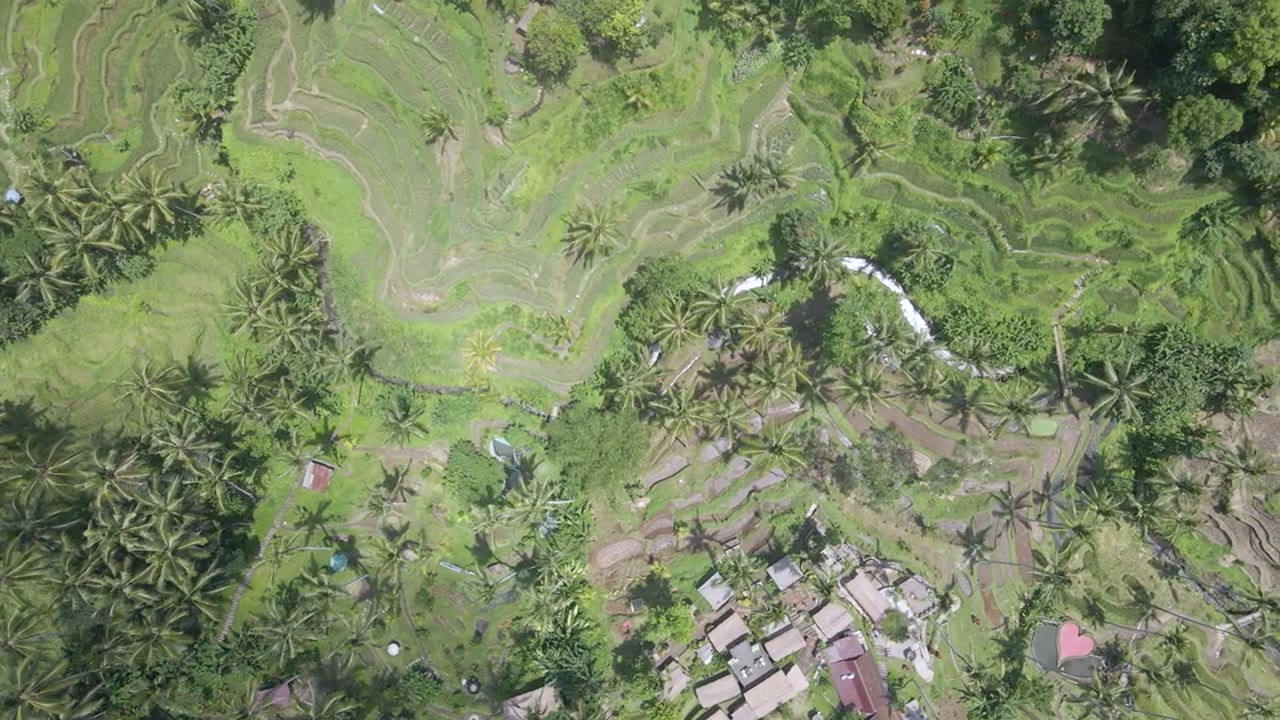 Bali — Island time, your way.